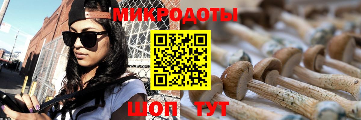 Галлюциногенные грибы Psilocybine cubensis Великие Луки